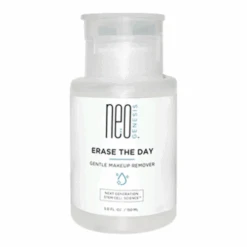 NeoGenesis Erase The Day