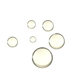 Whish Restoring Face Oil With Bakuchiol - Image 3